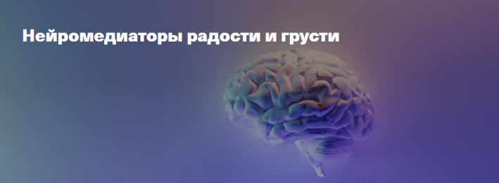 [Вячеслав Дубынин] [Дубынин о мозге] Нейромедиатор_0.png